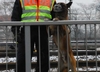 gegen-rechts-11