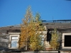 20081012094559__3-etage-gruen