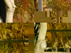 20081121153527_dresden-6
