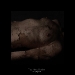vergaenglich-1