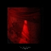 vergaenglich-12