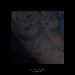 vergaenglich-24