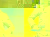 20090215105031_banda-8