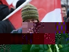 20090215142712_banda-28