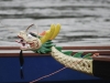 20090628061841_drachenboote-1