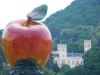 20090628162311_richtung-pillnitz