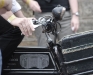 20090628163635_elbhangfest-pillnitz-11