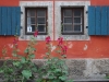 20090628164653_elbhangfest-loschwitz-4