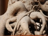 20081005064101_bonsai