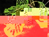 20081005064152_gerippe