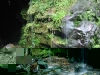 20081005064346_wasserfall