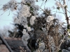 20081230110921_winterfarben-2
