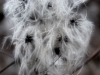 20090102124335_winter