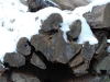 20090103134937_winter-1