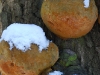 20090103135003_winter-3