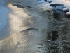 20090103135019_winter-4
