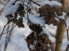 20090103135115_winter-8