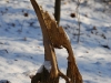 20090103135127_winter-9