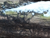 20090103135228_winter-11