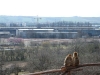 20090315065337_was-haben-sie-nur-gemacht