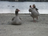20090315065800_img_0874