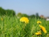 20090420143908__dresden-4
