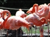 20090729074620_beine