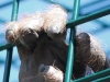 20090729074650_eine-handvoll