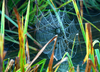 herbst-kommt-2