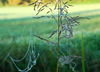 herbst-kommt-3