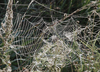herbst-kommt-6