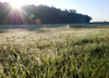 herbst-kommt-8