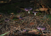 herbstwanderung-11