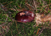 herbstwanderung-3