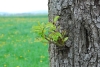 natur-weesenstein-1