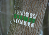 winter-2
