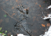 winter-6