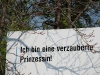 20090419083624__prinzessin