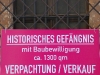 20100310120712_dsc_3467