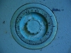 20090307000804_industrie-9