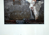 ostrale-2011-22