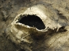 20090815173028_ostrale-19