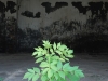 20090815173544_ostrale-34