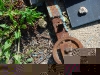 20090815173626_ostrale-36
