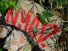 20090815173810_ostrale-42
