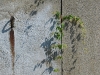 20090815174105_ostrale-46