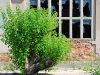 20090815174127_ostrale-47