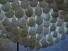 20090815174505_ostrale-56