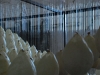 20090815174630_ostrale-62