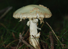 herbstwanderung-4